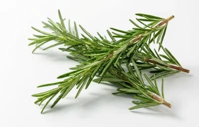 fresh rosemary sprigs