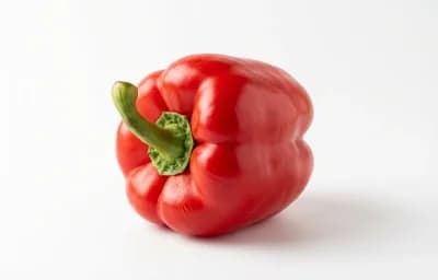 large red bell pepper