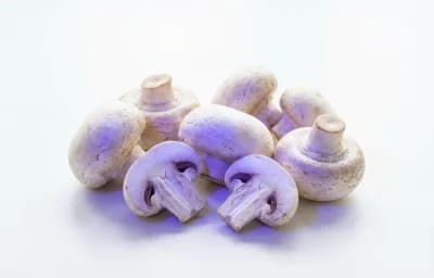 raw ultraviolet exposed white mushroom
