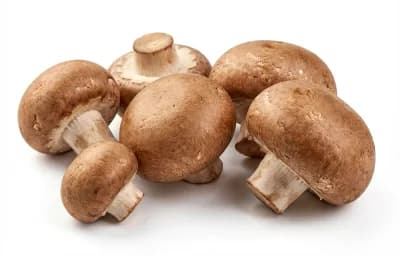 mushrooms