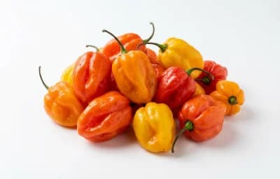 habanero peppers