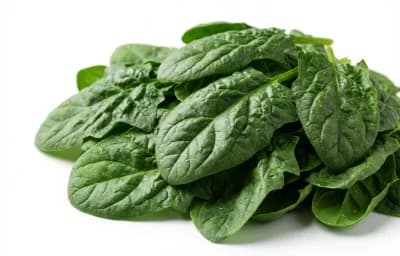 mature spinach