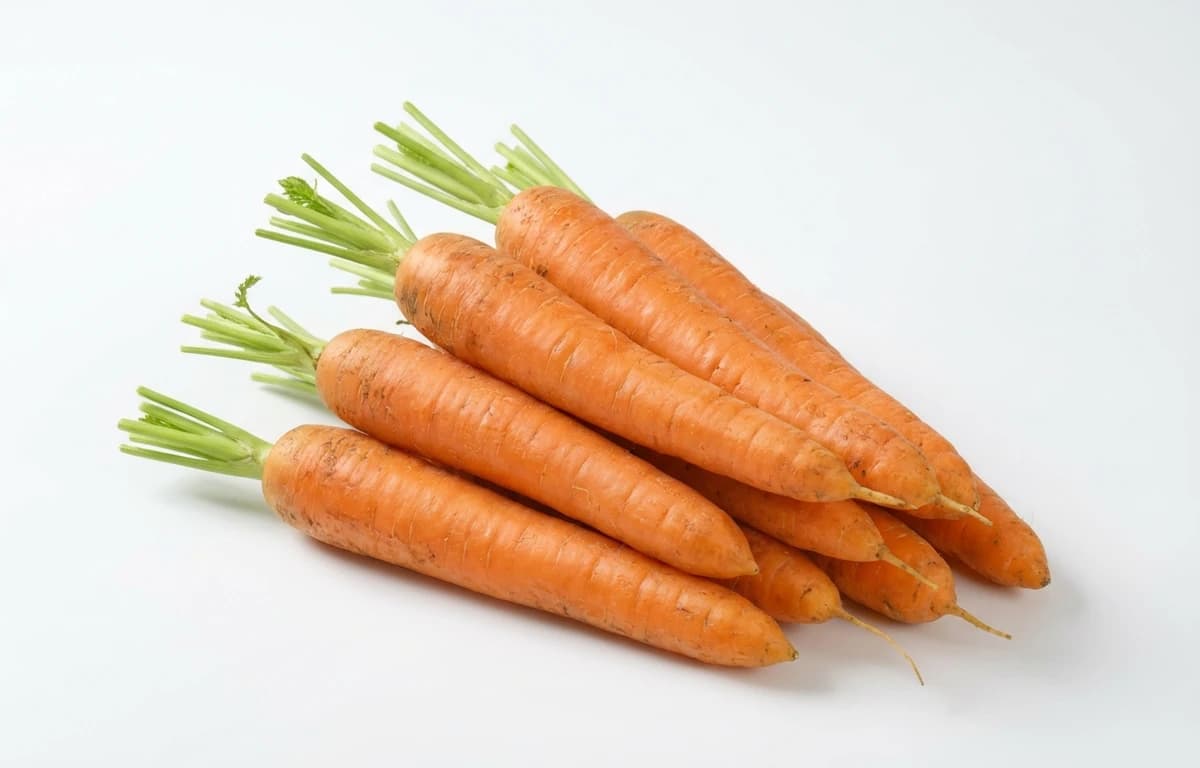 medium carrots