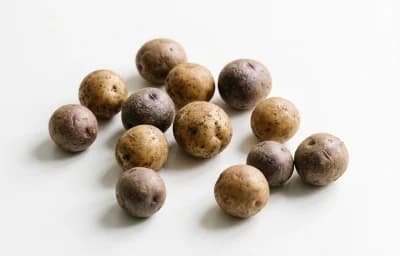baby potatoes