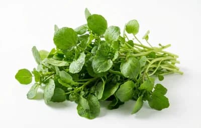 raw watercress