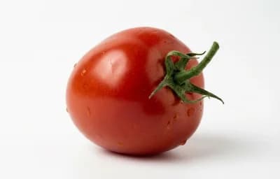 roma tomato