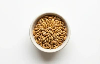 dried safflower seed kernels