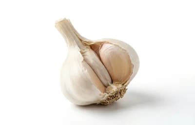 whole garlic head