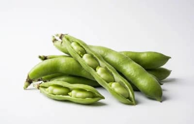 indian broad beans