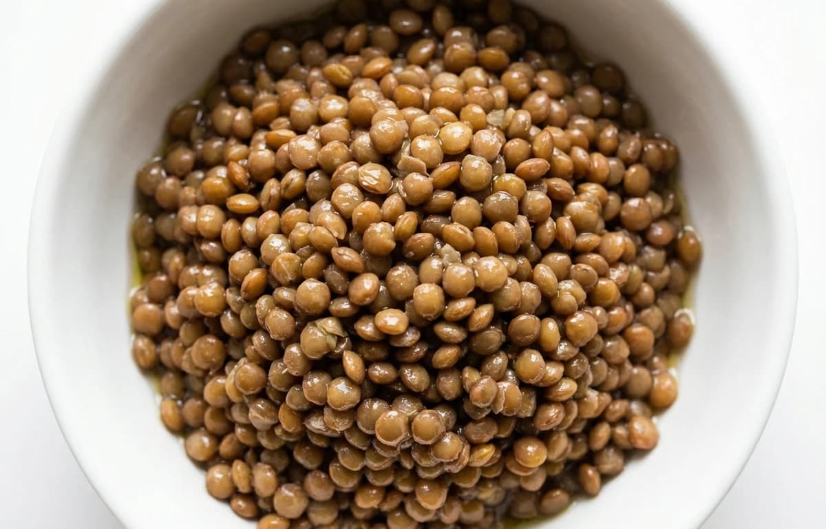 cooked brown lentils