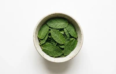 dried mint leaves