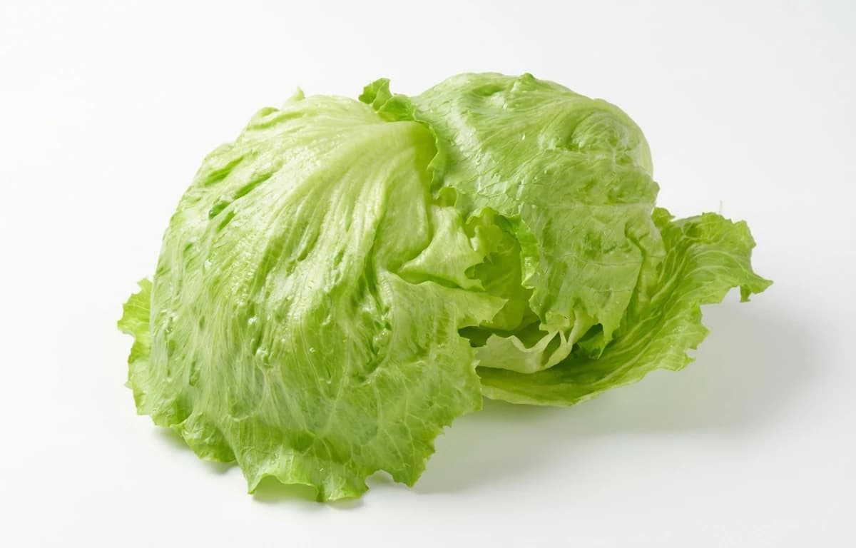 Iceberg Lettuce Leaves