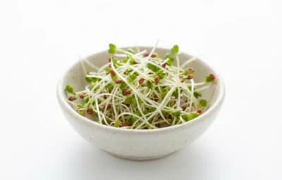 raw sprouted radish seeds
