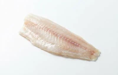 scrod