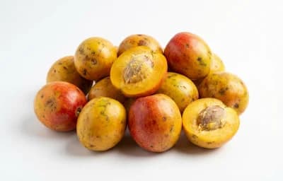 hog plums