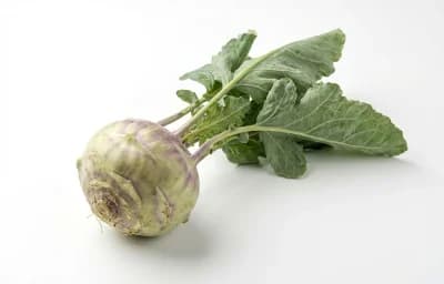 kohlrabi