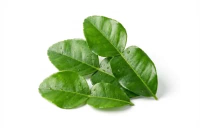 kaffir lime leaves