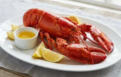 Steamed Lobster