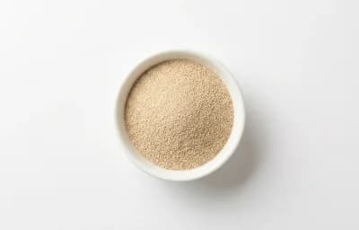 champagne yeast