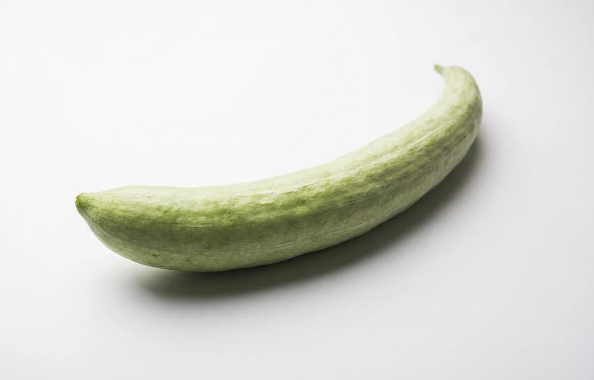 long pale green snake gourd