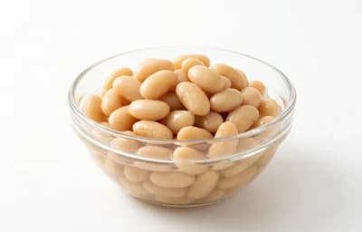 canned navy beans