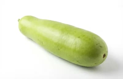 bottle gourd