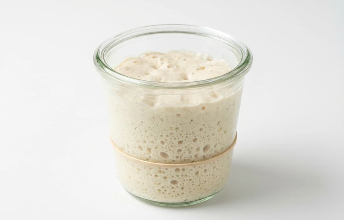 Sourdough Starter