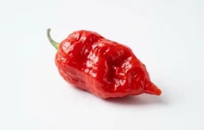 Naga King Chili
