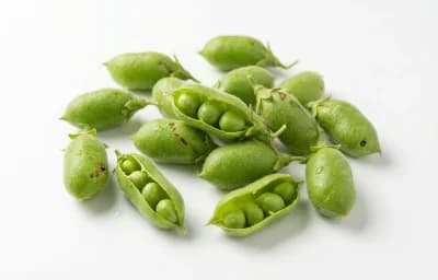 fresh green chickpeas