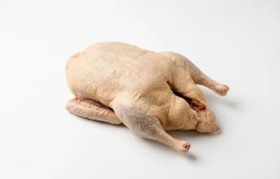 raw duck