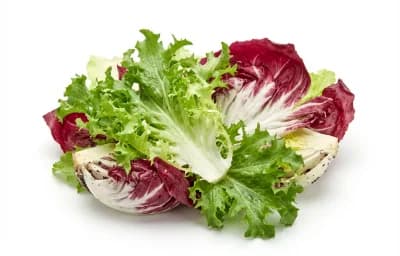 raw chicory greens