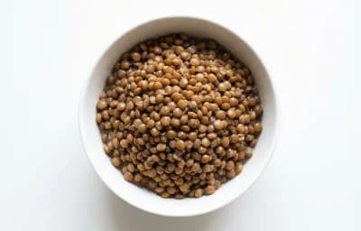 boiled unsalted lentils