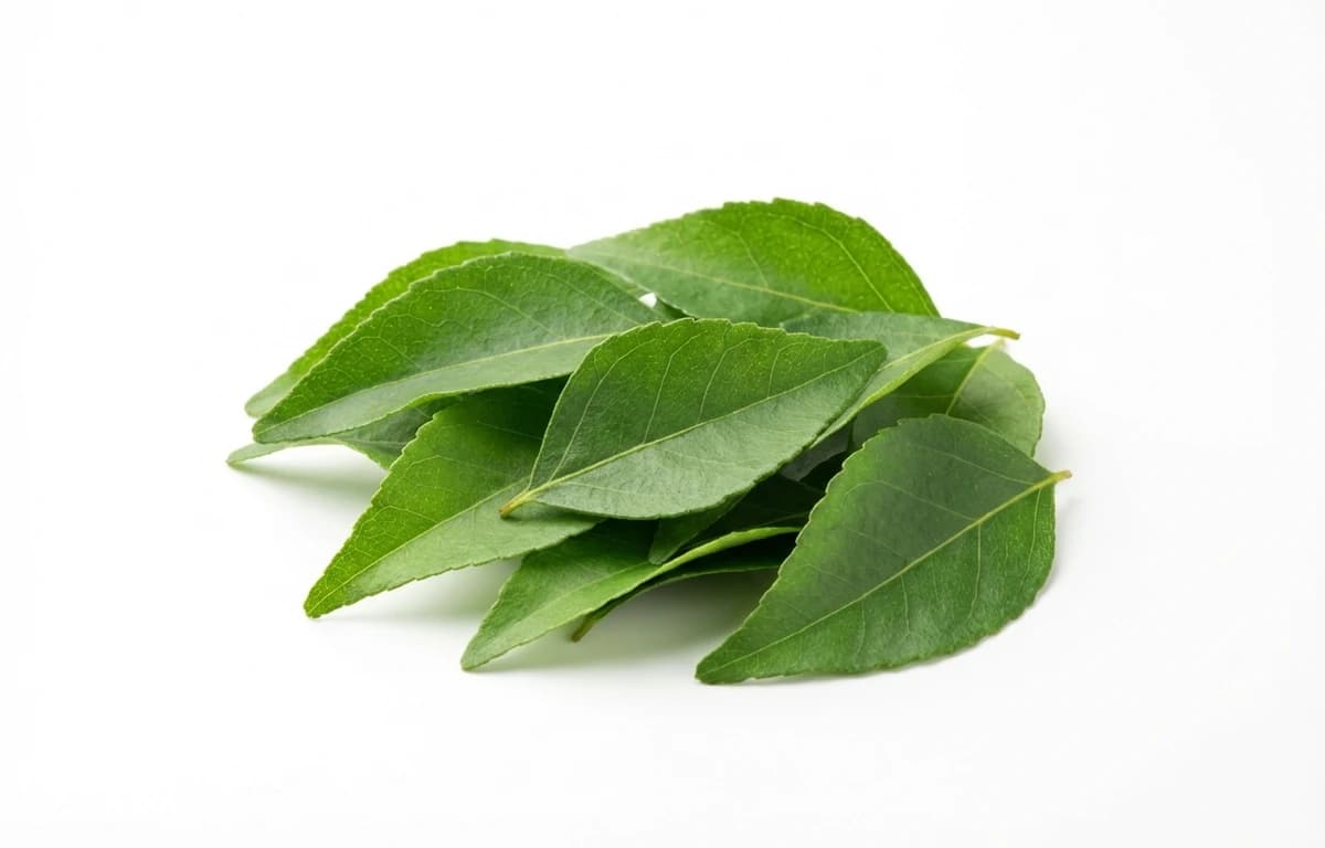 curry leaves