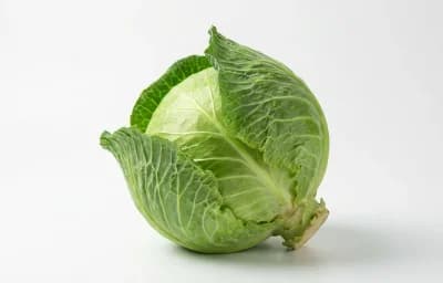 cabbage