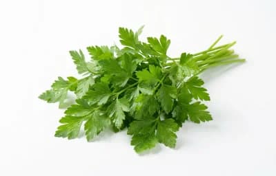 fresh flat-leaf parsley