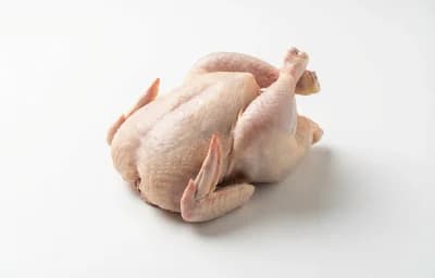 raw cornish game hen