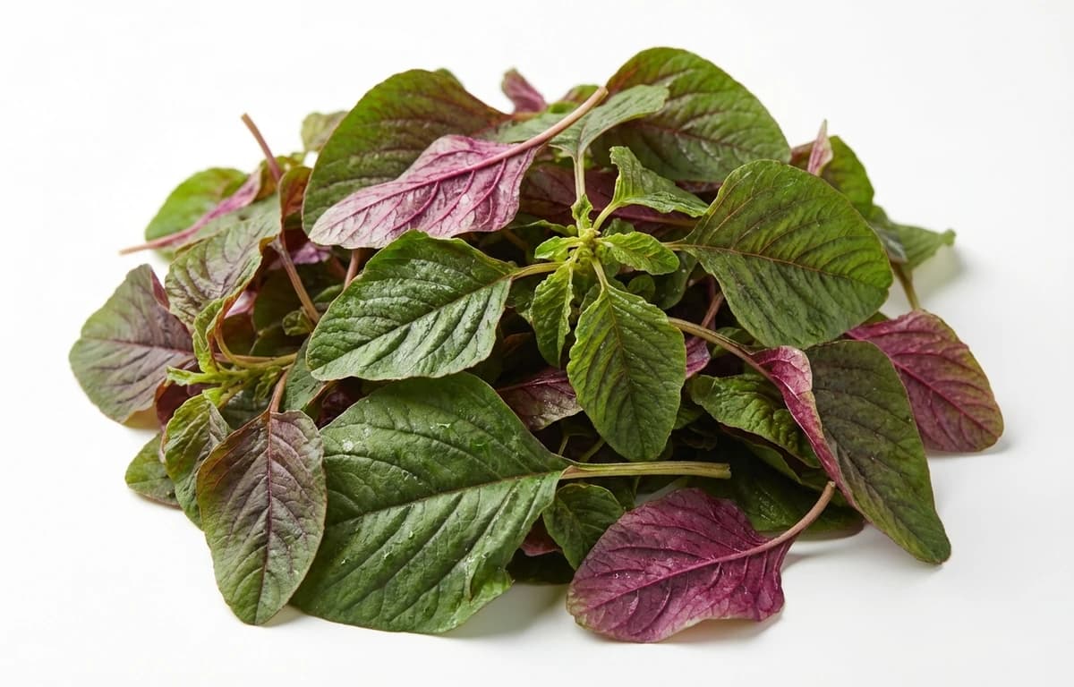 amaranth leaves