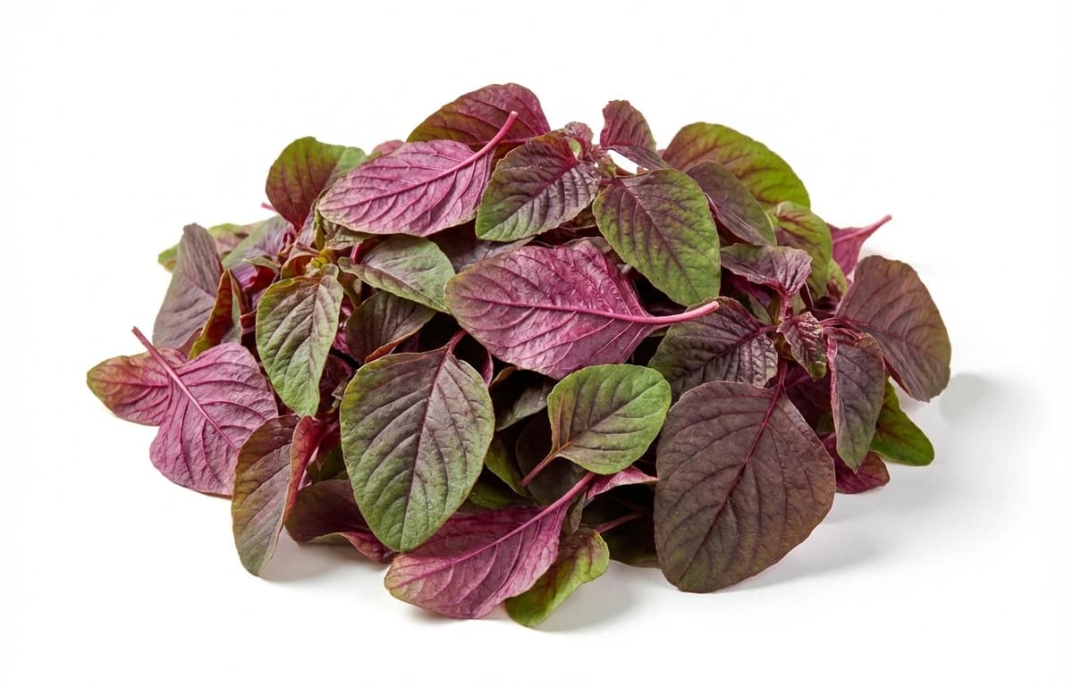 raw amaranth leaves