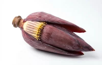 banana flower