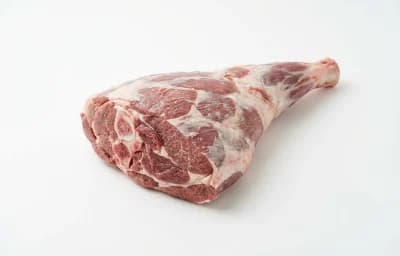 raw lamb leg
