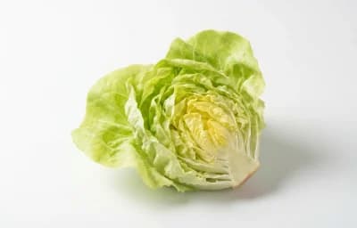 butter lettuce