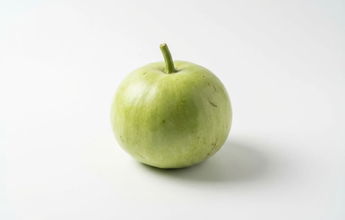 apple gourd