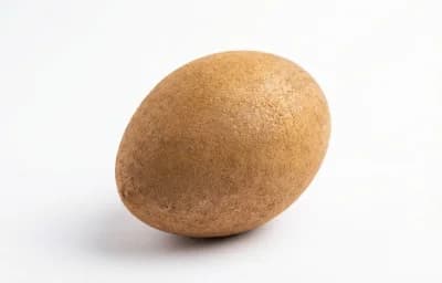 raw sapodilla