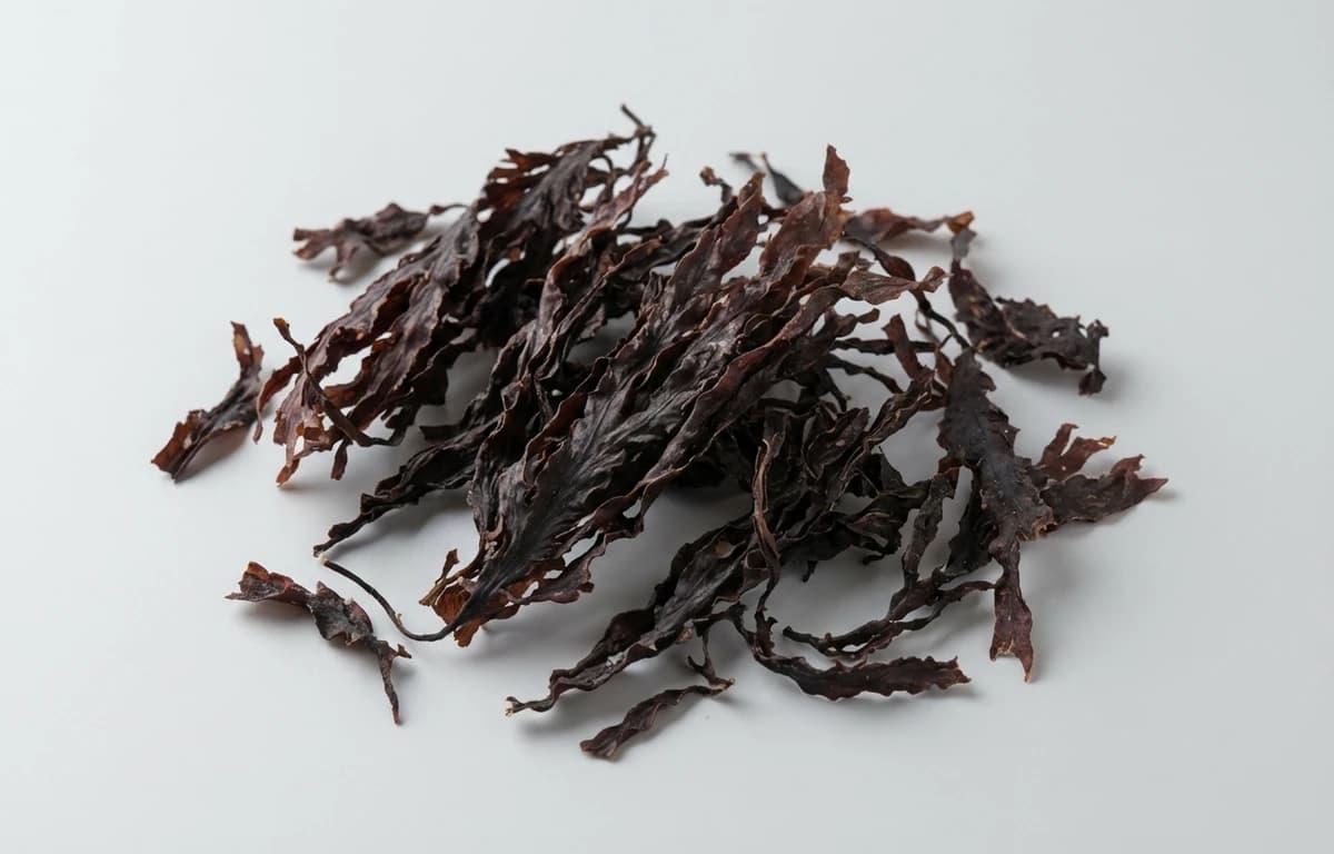 dried emi-tsunomata seaweed