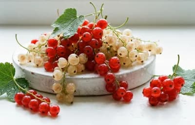 raw red and white currant