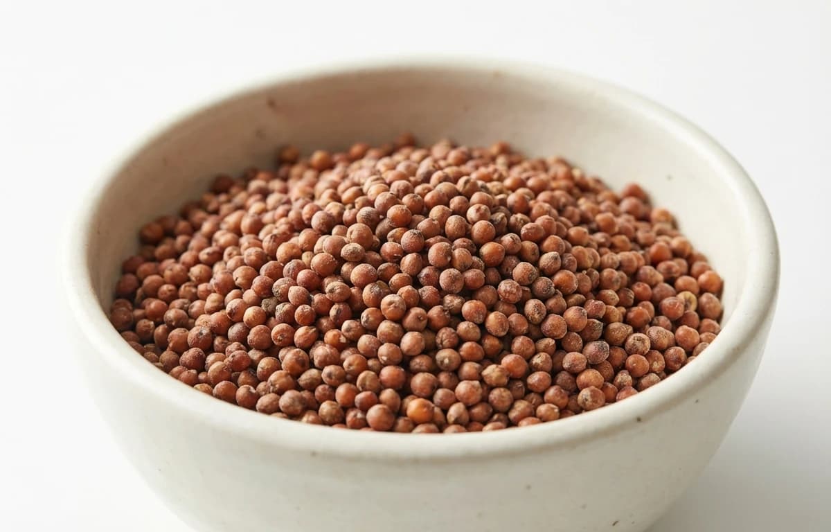 tender sorghum grains