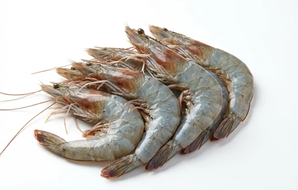 jumbo prawns