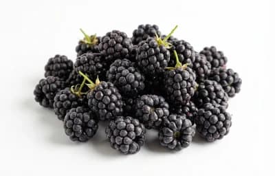 raw wild blackberry