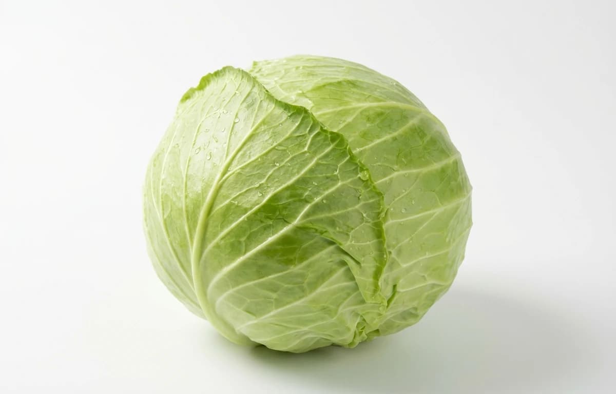 raw cabbage