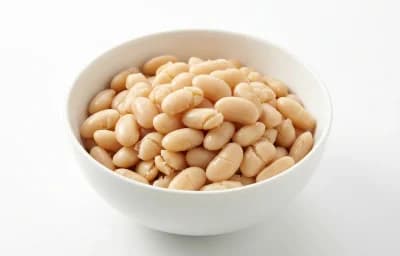 canned salted great northern beans